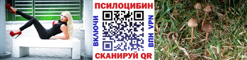 Галлюциногенные грибы Cubensis  закладка  Челябинск 